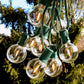Hometown Evolution G50 LED Filament 50 Foot String Light Set with Green Wire