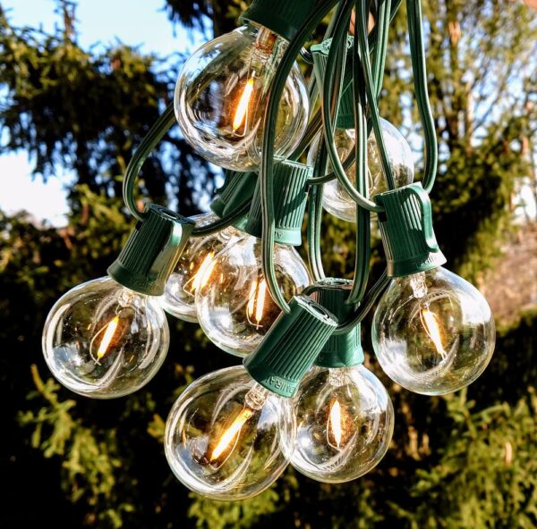 Hometown Evolution G50 LED Filament 50 Foot String Light Set with Green Wire