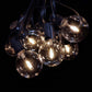 Hometown Evolution G50 LED Filament Clear Light Bulb with C9-E17 Base (Box of 25)