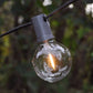 Hometown Evolution G50 LED Filament Clear Light Bulb with C9-E17 Base (Box of 25)