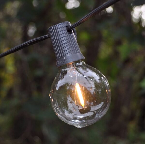 Hometown Evolution G50 LED Filament Clear Light Bulb with C9-E17 Base (Box of 25)