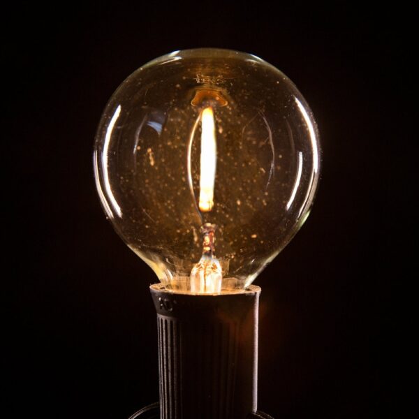 Hometown Evolution G50 LED Filament Clear Light Bulb with C9-E17 Base (Box of 25)
