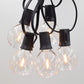 Hometown Evolution G50 Plastic LED Filament 10 Foot String Light Set with Black Wire