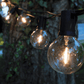 Hometown Evolution G50 Plastic LED Filament Light Bulb with C9-E17 Base (Box of 20)