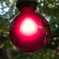 Hometown Evolution G50 Purple Satin Light Bulb with C9-E17 Base (Box of 25)