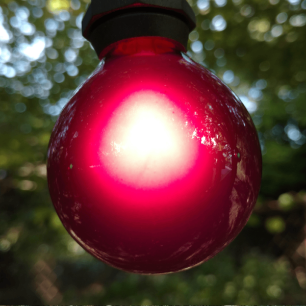 Hometown Evolution G50 Purple Satin Light Bulb with C9-E17 Base (Box of 25)