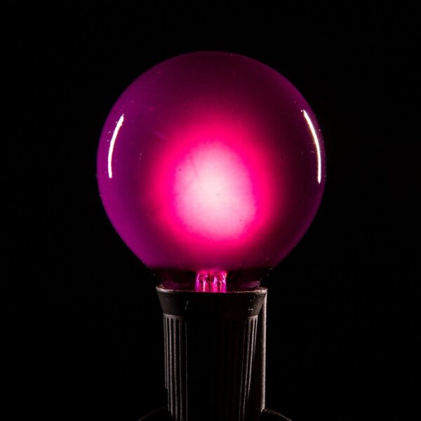 Hometown Evolution G50 Purple Satin Light Bulb with C9-E17 Base (Box of 25)
