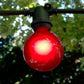 Hometown Evolution G50 Red Satin Light Bulb with C9-E17 Base (Box of 25)