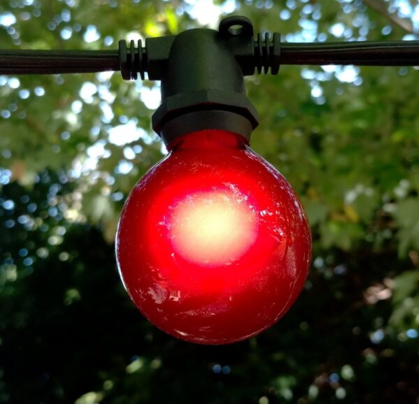 Hometown Evolution G50 Red Satin Light Bulb with C9-E17 Base (Box of 25)