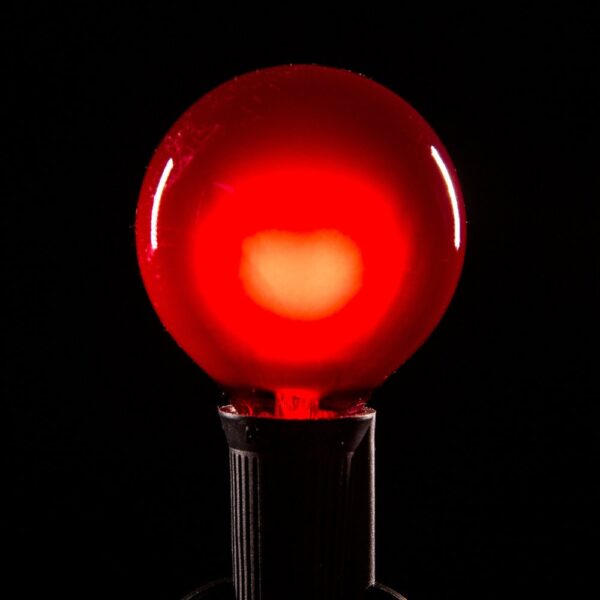Hometown Evolution G50 Red Satin Light Bulb with C9-E17 Base (Box of 25)