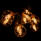 Hometown Evolution G50 Spiral Edison 100 Foot String Light Set with Black wire