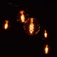 Hometown Evolution G50 Spiral Edison 50 Foot String Light Set with Black wire