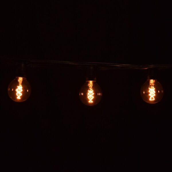 Hometown Evolution G50 Spiral Edison Commercial 25 Foot String Light Set with Black wire