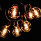 Hometown Evolution G50 Spiral Edison Commercial 50 Foot String Light Set with Black wire