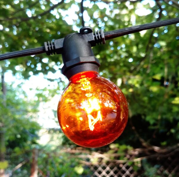 Hometown Evolution G50 Transparent Orange Light Bulb with C9-E17 Base (Box of 25)