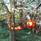 Hometown Evolution G50 Transparent Orange Light Bulb with C9-E17 Base (Box of 25)