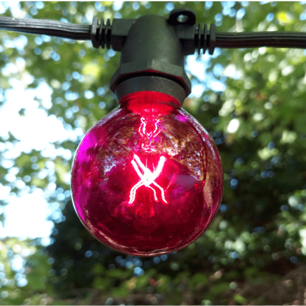 Hometown Evolution G50 Transparent Pink Light Bulb with C9-E17 Base (Box of 25)