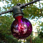 Hometown Evolution G50 Transparent Purple Light Bulb with C9-E17 Base (Box of 25)