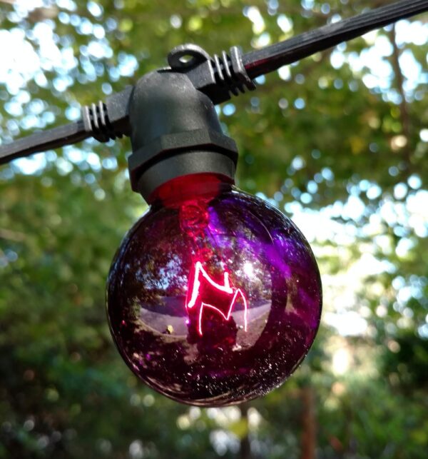 Hometown Evolution G50 Transparent Purple Light Bulb with C9-E17 Base (Box of 25)