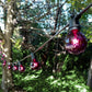 Hometown Evolution G50 Transparent Purple Light Bulb with C9-E17 Base (Box of 25)