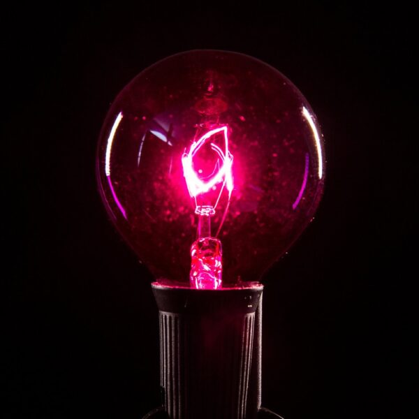 Hometown Evolution G50 Transparent Purple Light Bulb with C9-E17 Base (Box of 25)