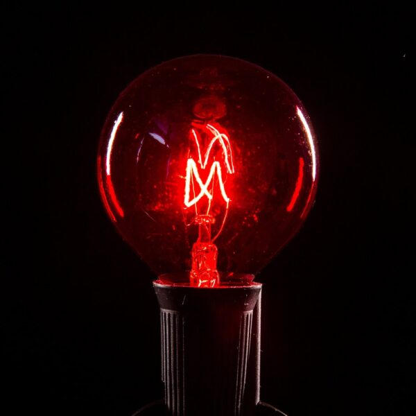 Hometown Evolution G50 Transparent Red Light Bulb with C9-E17 Base (Box of 25)