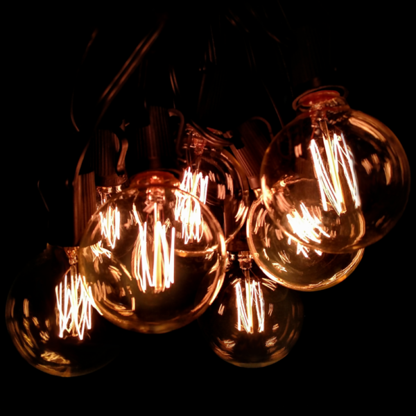 Hometown Evolution G60 Lantern Edison 10 Foot String Light Set with Black wire