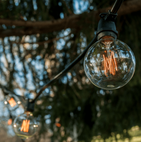Hometown Evolution G60 Lantern Edison Commercial 100 Foot String Light Set with Black Wire