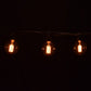 Hometown Evolution G60 Lantern Edison Commercial 25 Foot String Light Set with Black Wire