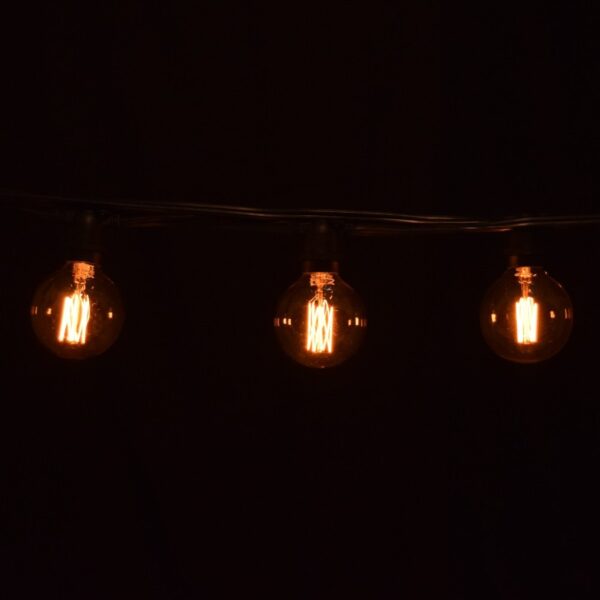 Hometown Evolution G60 Lantern Edison Commercial 25 Foot String Light Set with Black Wire