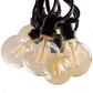 Hometown Evolution G60 Lantern Edison Commercial 50 Foot String Light Set with Black Wire