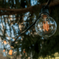 Hometown Evolution G60 Lantern Edison Commercial 50 Foot String Light Set with Black Wire