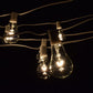Hometown Evolution PS50 10 Foot Clear String Light Set with White wire