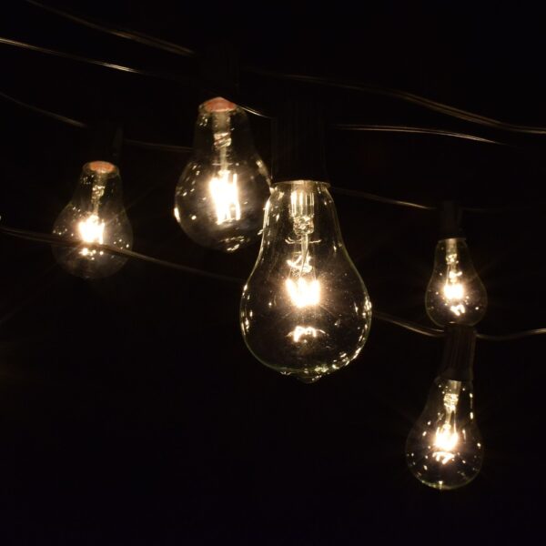 Hometown Evolution PS50 100 Foot Clear String Light Set with Black wire