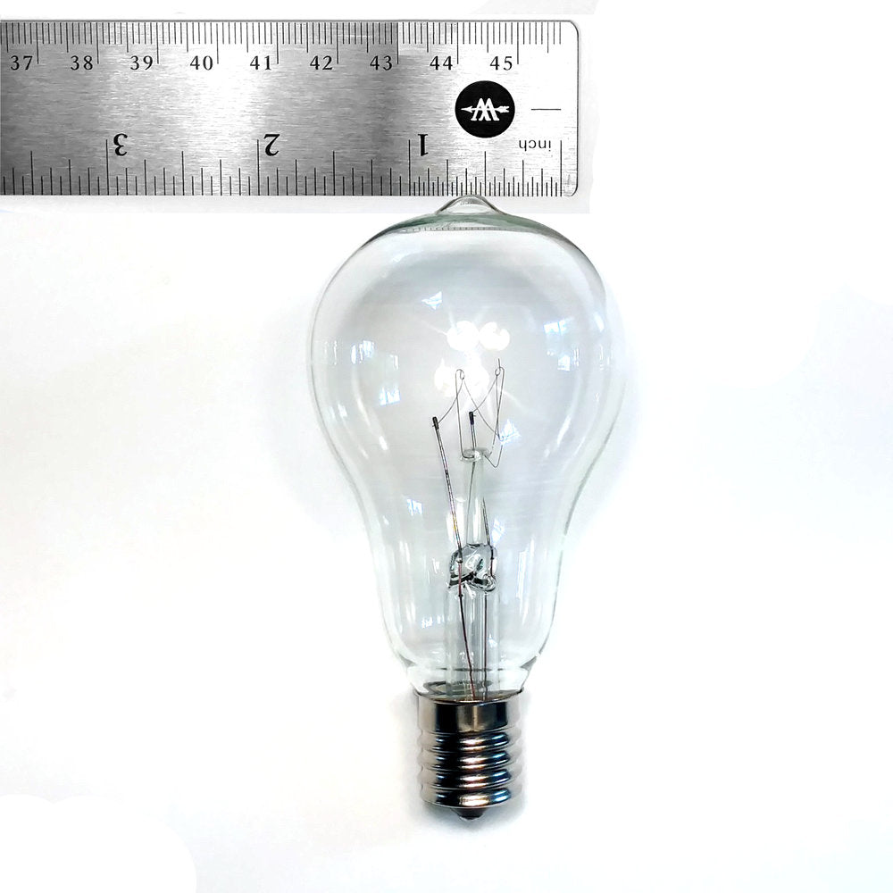 Hometown Evolution PS50 100 Foot Clear String Light Set with Black wire