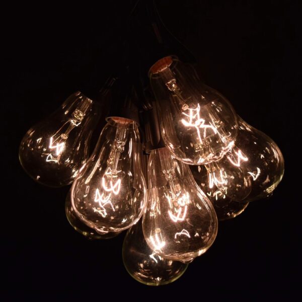 Hometown Evolution PS50 25 Foot Clear String Light Set with Black wire ...