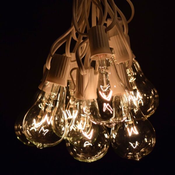 Hometown Evolution PS50 25 Foot Clear String Light Set with White wire