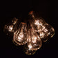 Hometown Evolution PS50 50 Foot Clear String Light Set with Black wire