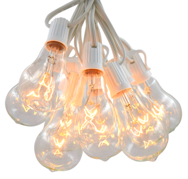 Hometown Evolution PS50 50 Foot Clear String Light Set with White wire