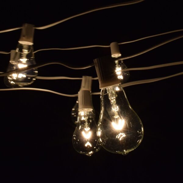 Hometown Evolution PS50 50 Foot Clear String Light Set with White wire