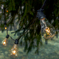 Hometown Evolution PS50 Commercial 100 Foot Clear String Light Set with Black Wire
