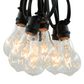 Hometown Evolution PS50 Commercial 25 Foot Clear String Light Set with Black Wire