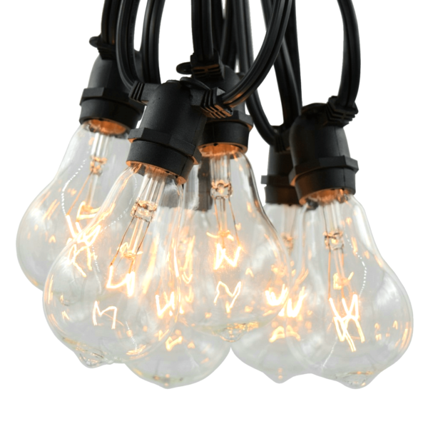 Hometown Evolution PS50 Commercial 25 Foot Clear String Light Set with Black Wire