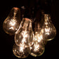 Hometown Evolution PS50 Commercial 25 Foot Clear String Light Set with Black Wire