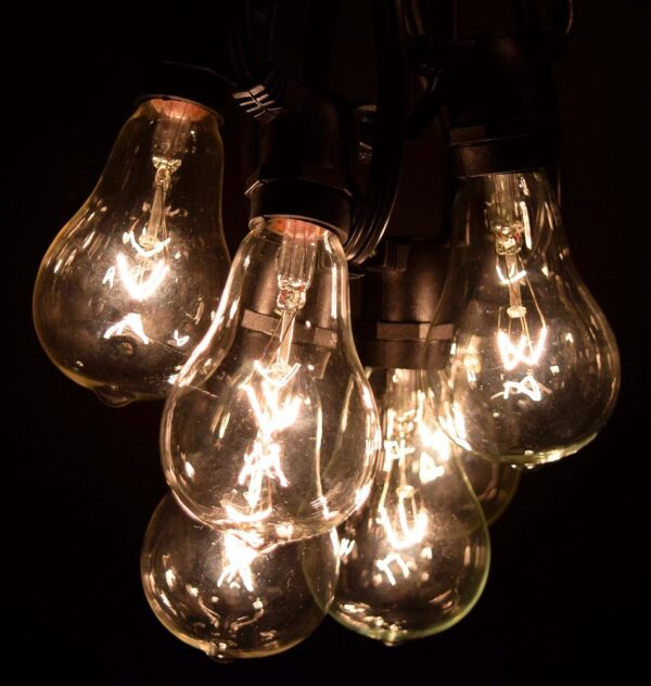 Hometown Evolution PS50 Commercial 25 Foot Clear String Light Set with Black Wire
