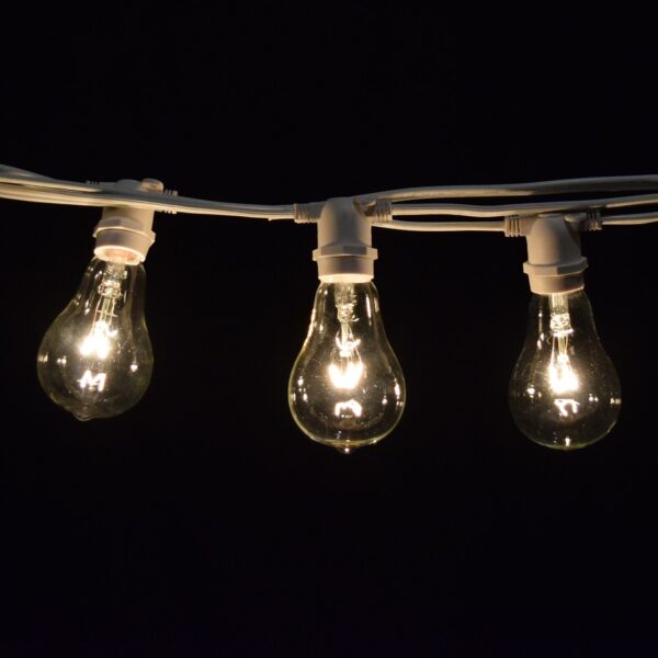 Hometown Evolution PS50 Commercial 25 Foot Clear String Light Set with White Wire