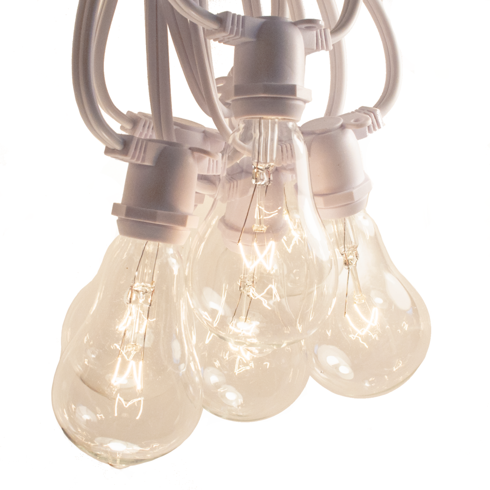 Hometown Evolution PS50 Commercial 50 Foot Clear String Light Set with White Wire