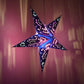 Hometown Evolution Peacock Paper Star Navy Outdoor Lantern