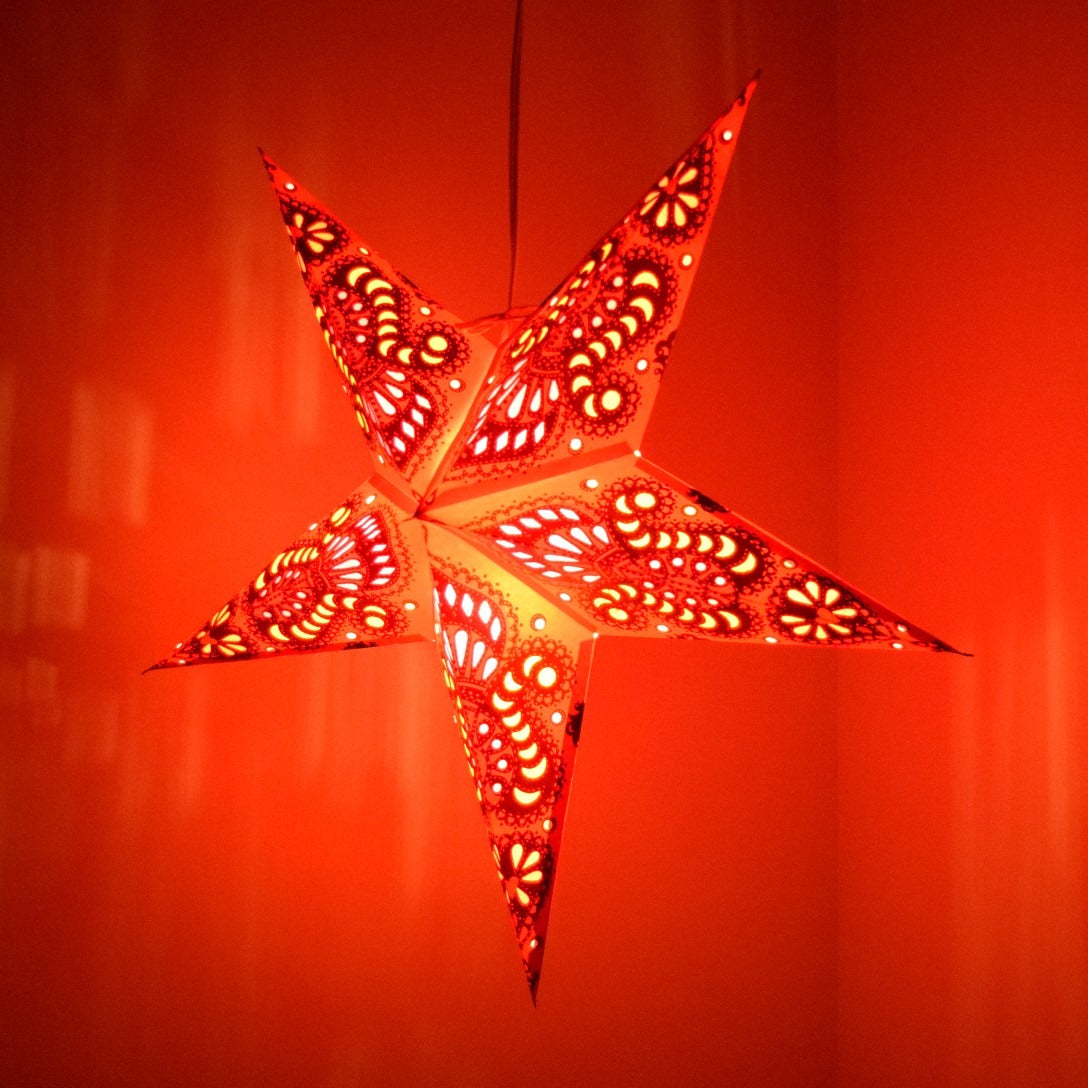 Hometown Evolution Peacock Paper Star Pink Outdoor Lantern