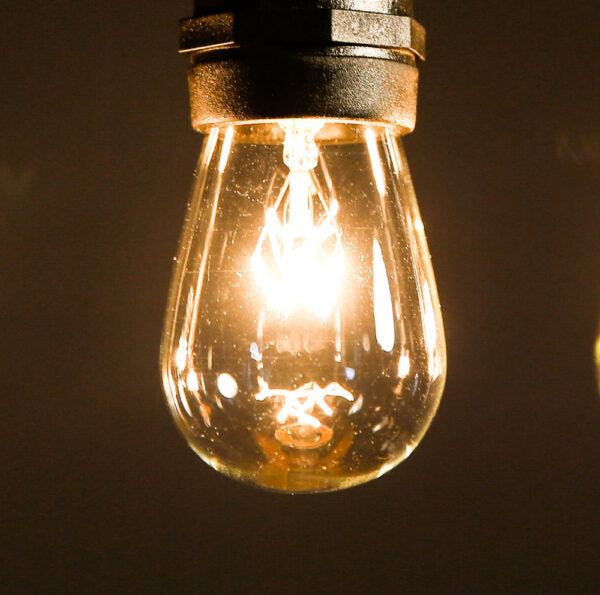 Hometown Evolution S14 11 Watts Clear Light Bulb with E26 Base